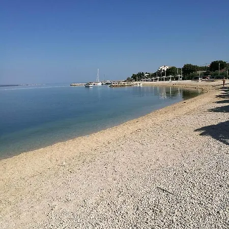 Mirjana Vrsi